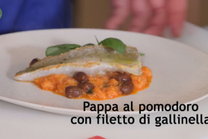 Pappa al pomodoro con filetto di gallinella